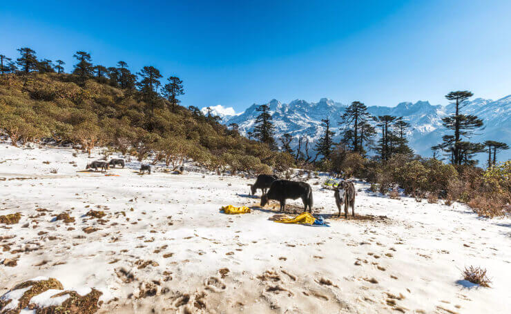 Khangchendzonga National Park