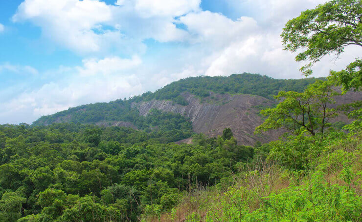 Malayattoor Forest Kerala