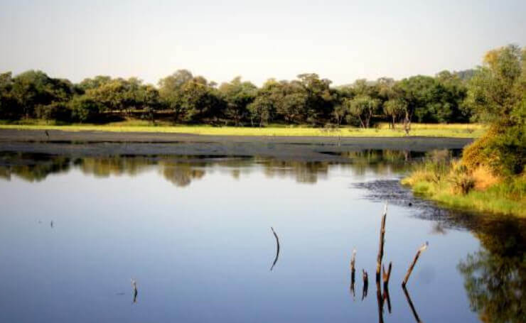 Malik Talao Ranthambore