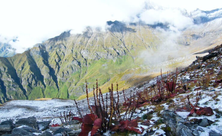 Nanda Devi Biosphere Reserve