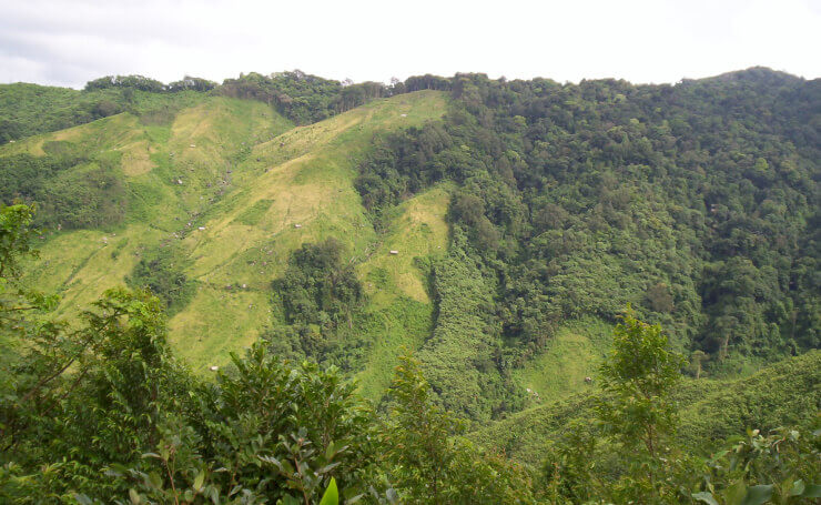 Nokrek National Park