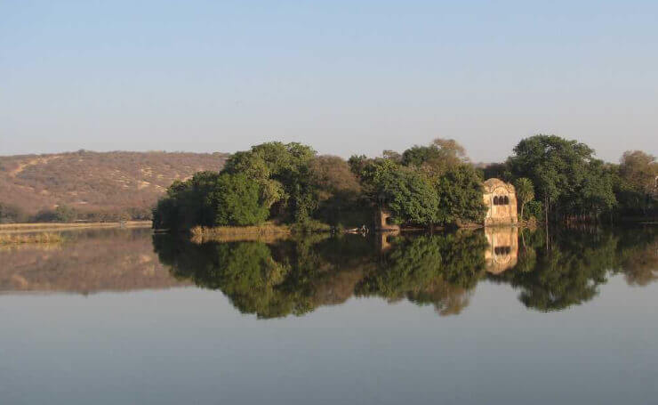 Surwar Lake Ranthambore