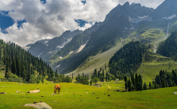 Yusmarg Jammu Kashmir