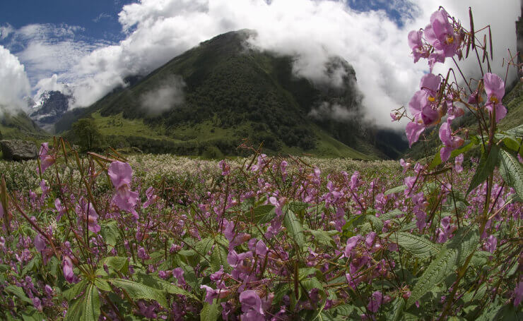 Chenap Valley Trek