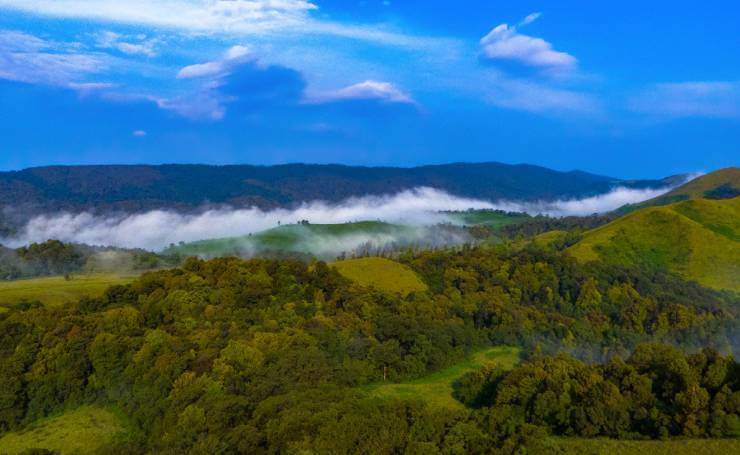 Agumbe Hill Station