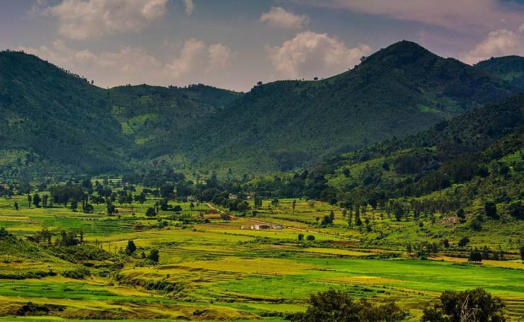 Araku Valley