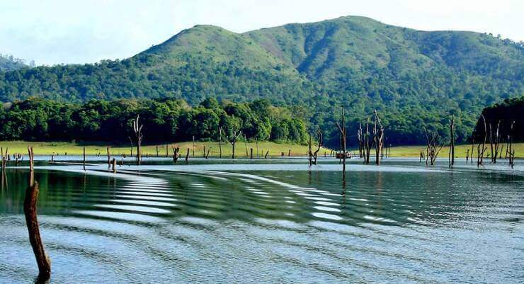 Thekkady