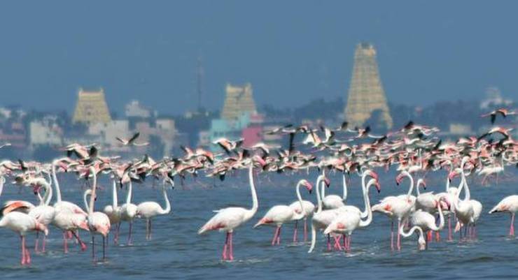 Water Bird Sanctuary