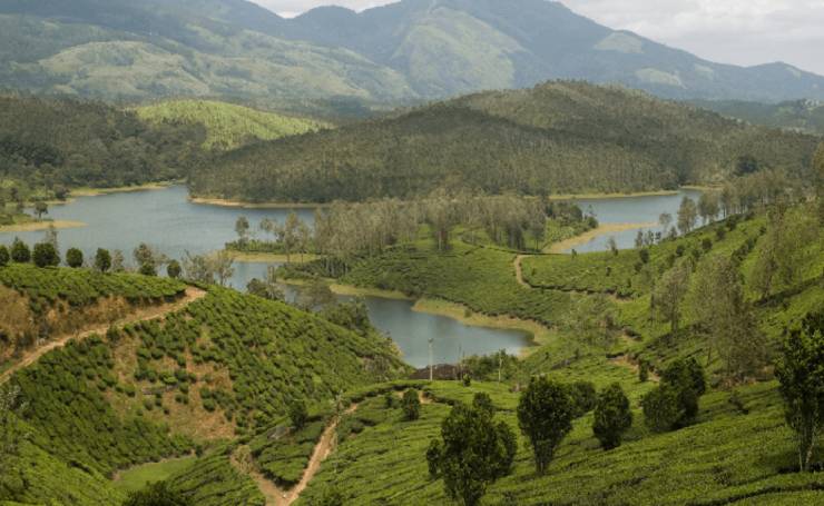 Yelagiri Hill Station