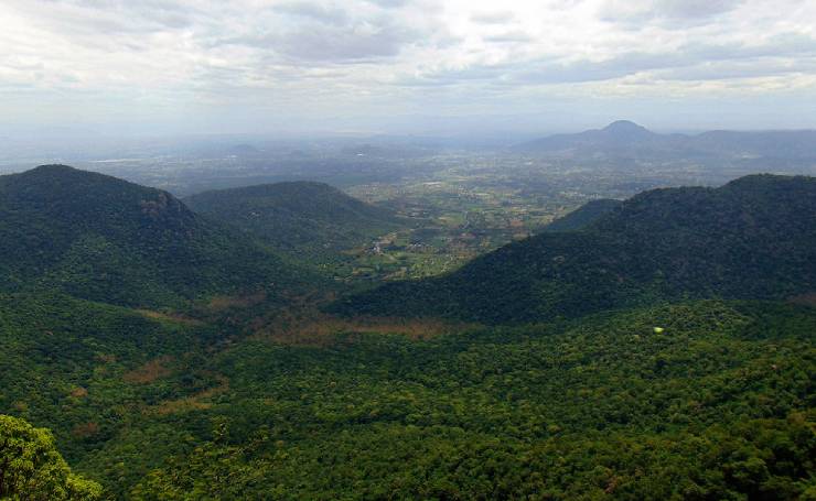 Yercaud Hill Station