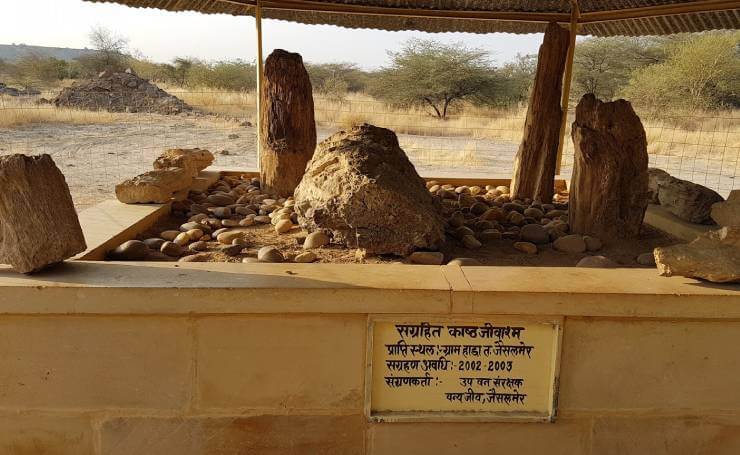 Akal Wood Fossil Park Jaisalmer