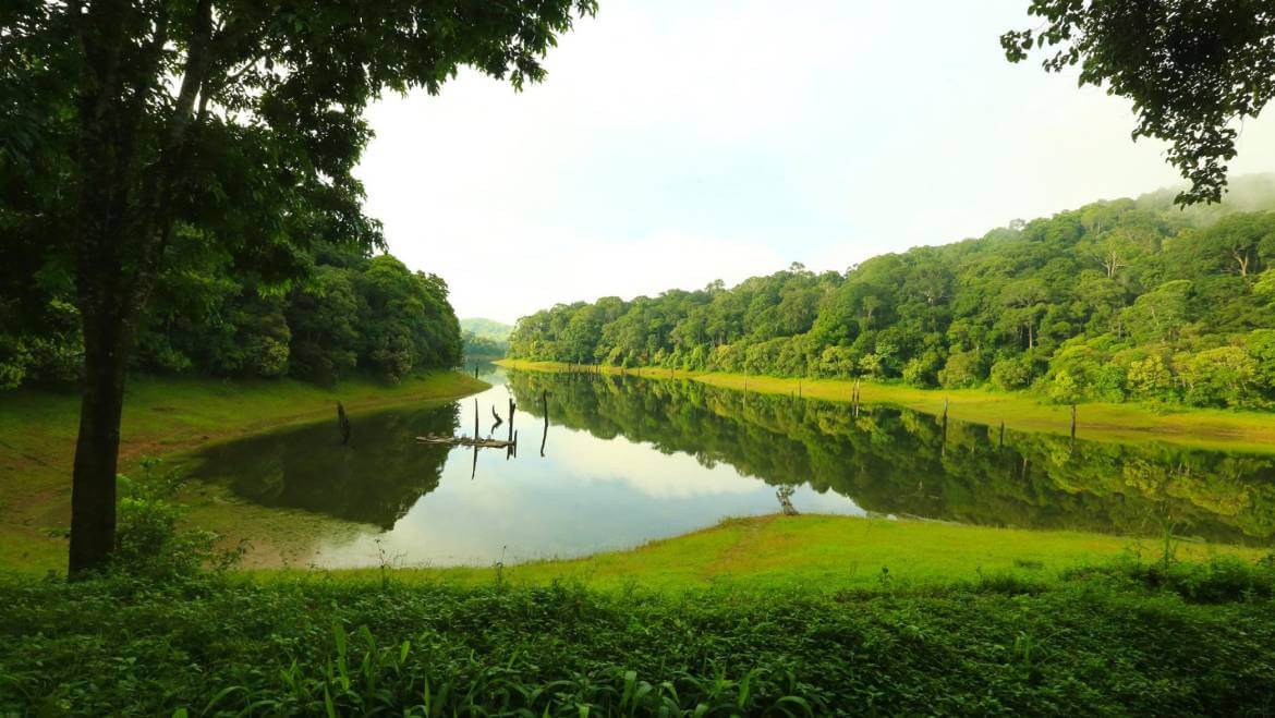 11 Best Places to Visit in Thekkady | Thekkady Tourism Kerala | TMI