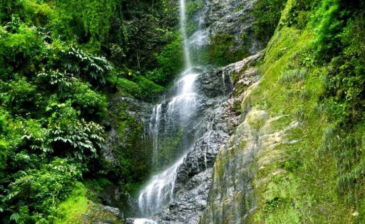 Chadwick Falls Shimla