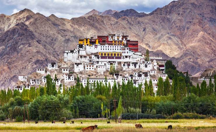 Ladakh Alchi monastery