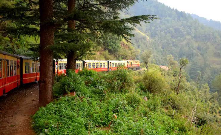 Summer Hill Shimla