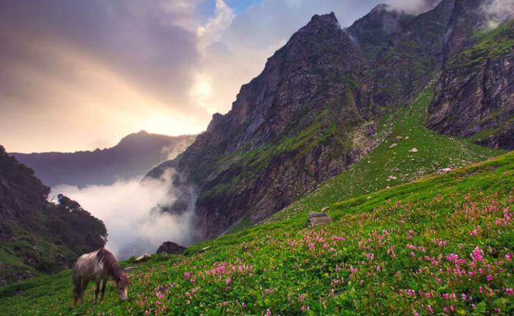 Hampta Pass Trek Himachal