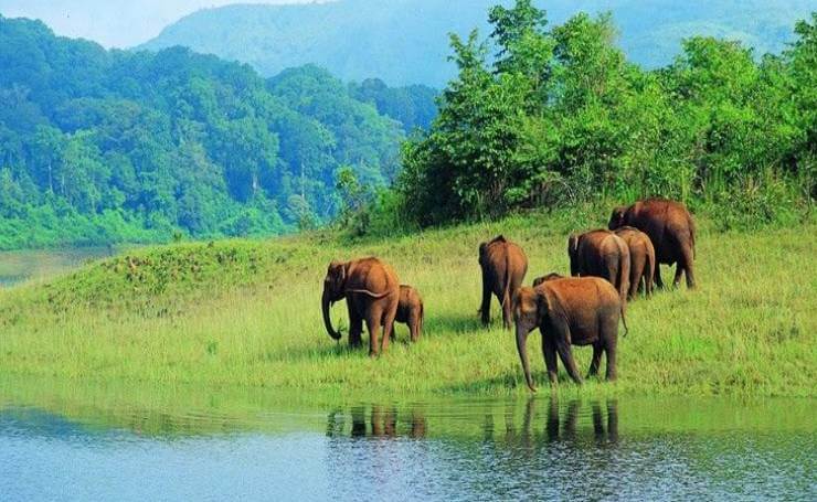 Periyar National Park Kerala