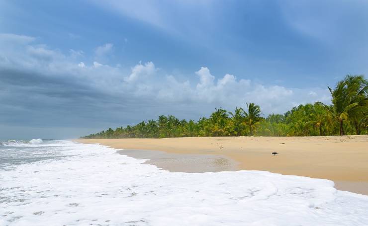 Marari Beach- Kerala