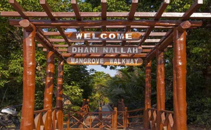 Dhaninalah Mangrove Nature Walkaway