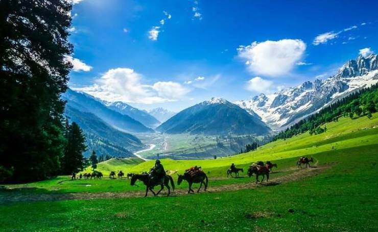 Pony Ride in Pahalgam