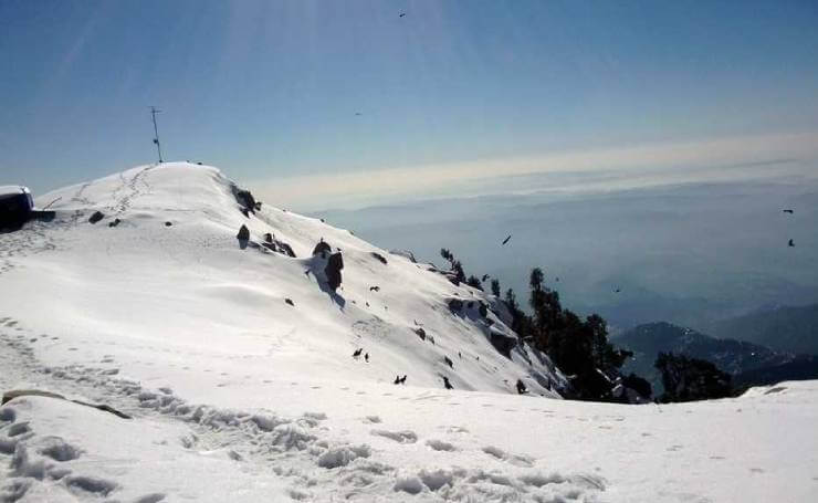 Triund Winter Trek Himachal
