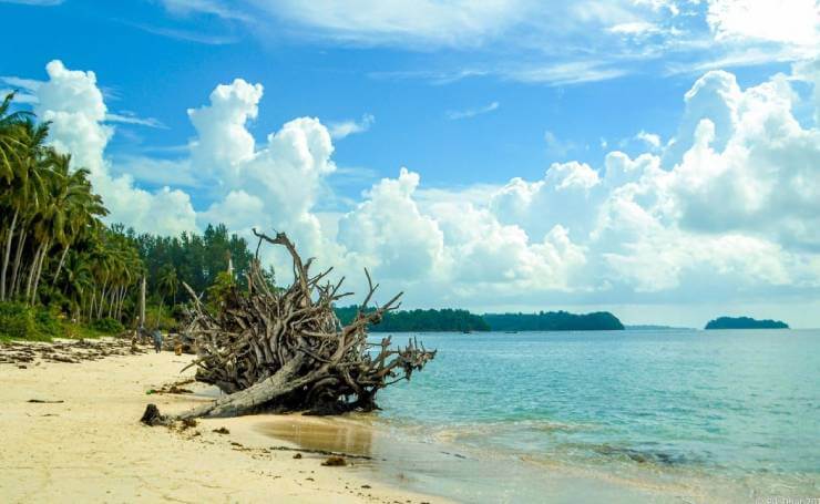 Wandoor Beach Andaman