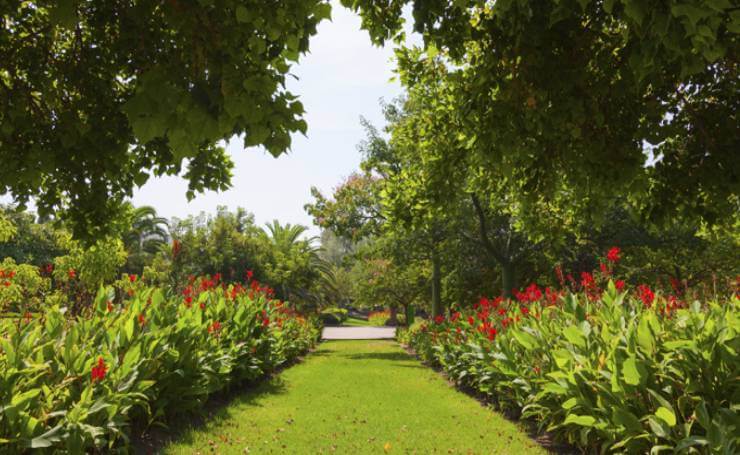 Saramsa Garden Gangtok