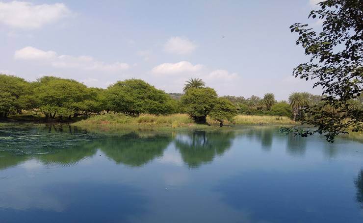 Van Vihar National Park Bhopal