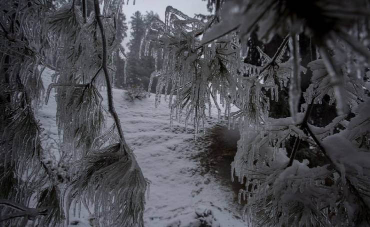 Yusmarg Snow Tourist Places in Kashmir