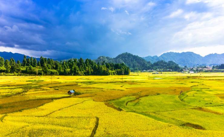 Ziro Valley Arunachal