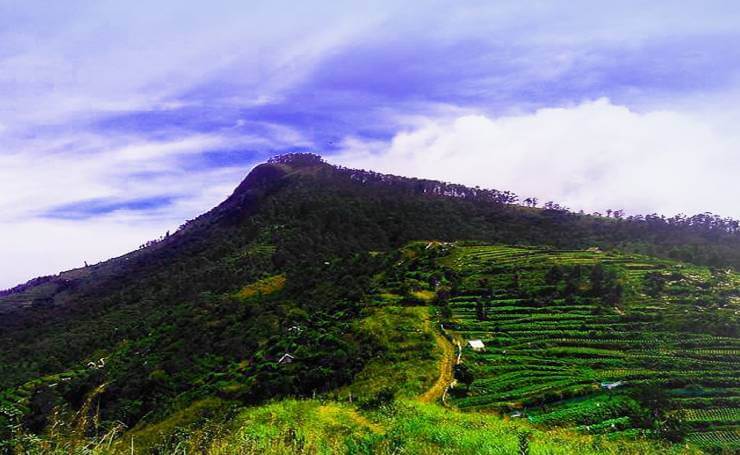 Perumal Peak Kodaikanal