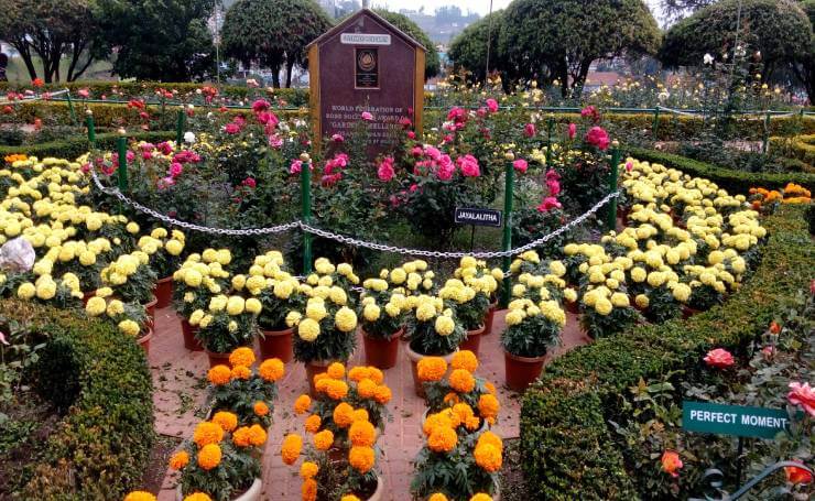 Rose Garden Ooty