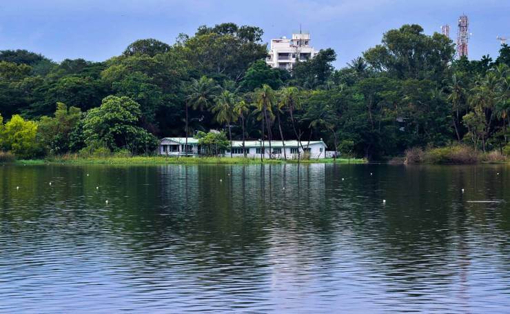 Sankey Tank Bangalore