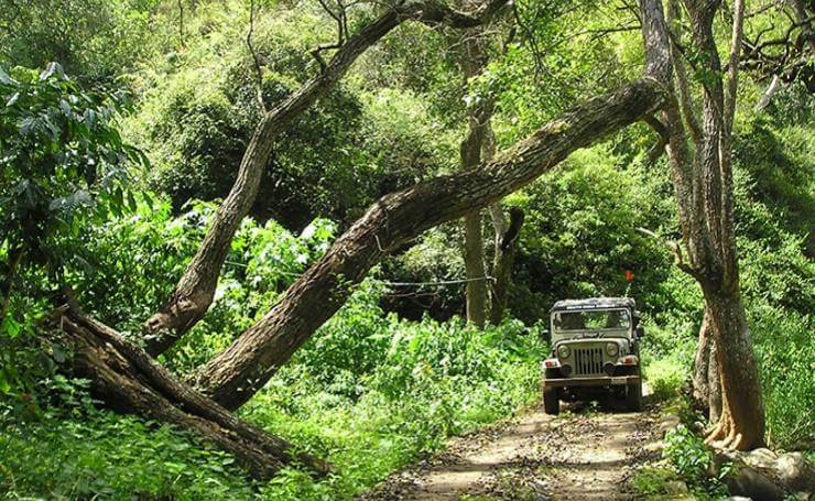 Chikmagalur- Coffee-Land-Chikmagalur-Karnataka