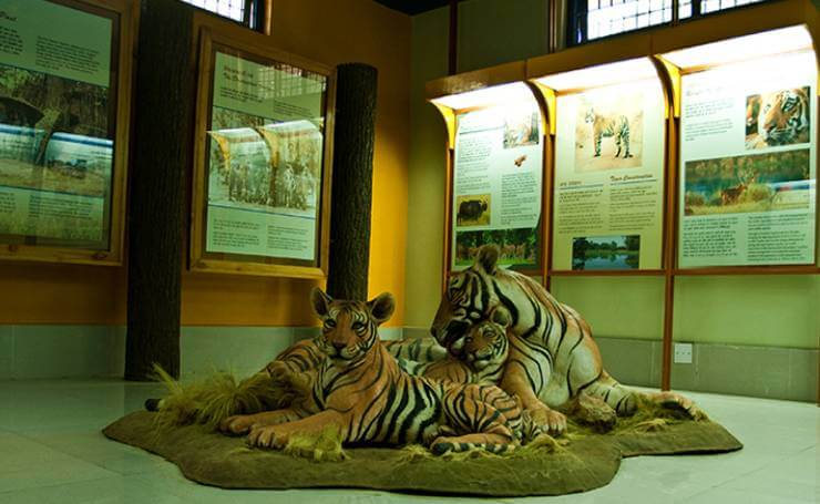 Nearby Places to Visit in Kanha - Kanha Museum