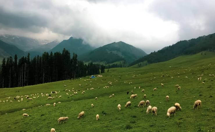 Pulwama - Naghbaren Unexplored Kashmir