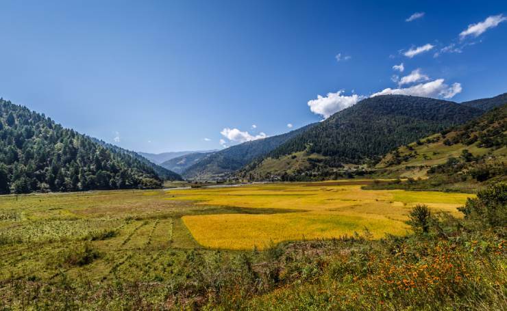 Sangti Valley Arunachal