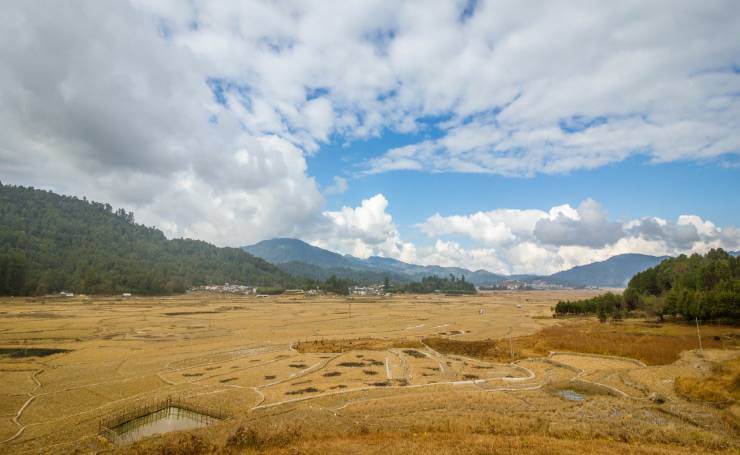 Ziro Valley,Arunachal Pradesh