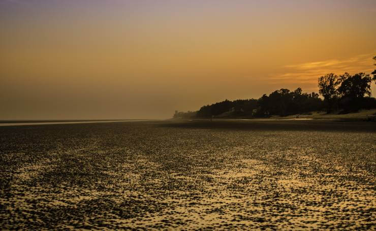 Chandipur Beach Odisha