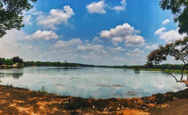Kanjia Lake Odisha