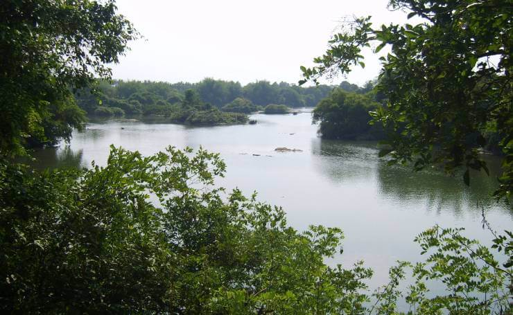 Ranganathittu Bird Sanctuary