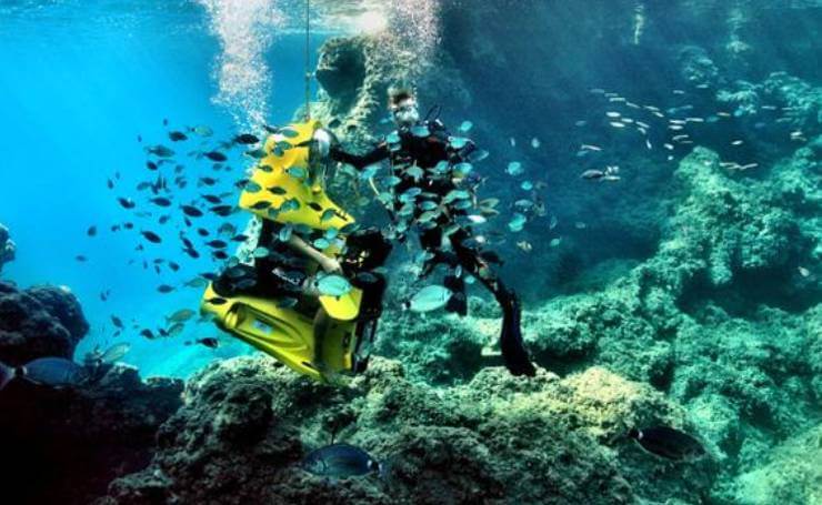 Snorkelling in Kerala