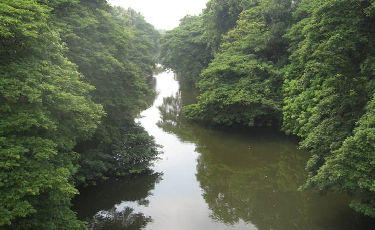 Karamana River Kerala