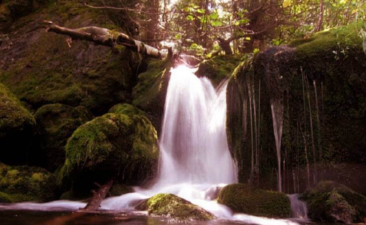 Mossy Falls Mussoorie