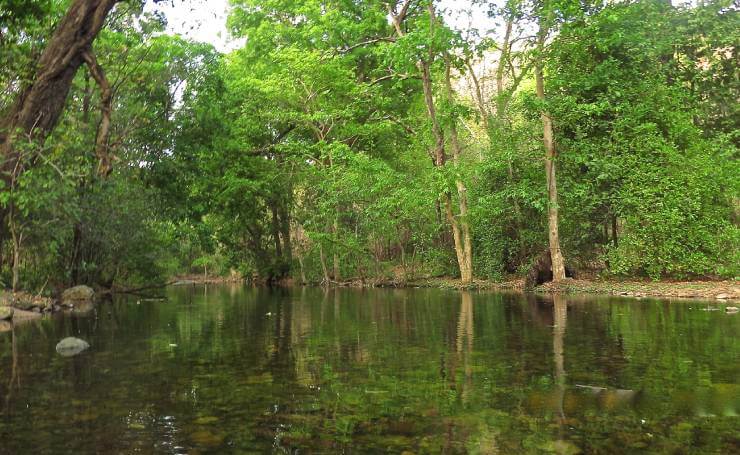 Sitamata Wildlife Sanctuary Rajasthan