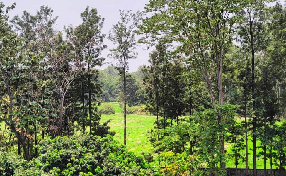 Nature View Homestay Dehradun