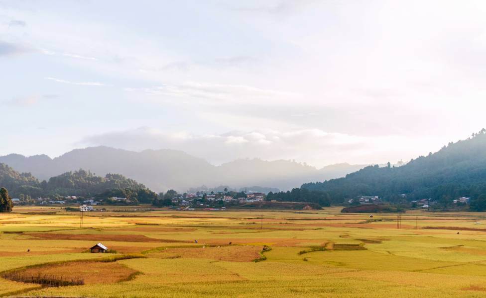 Ziro Valley Arunachal