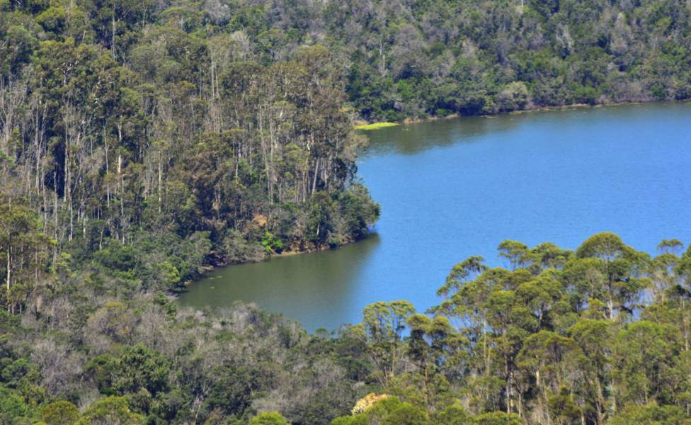 Berijam Lake Kodaikanal