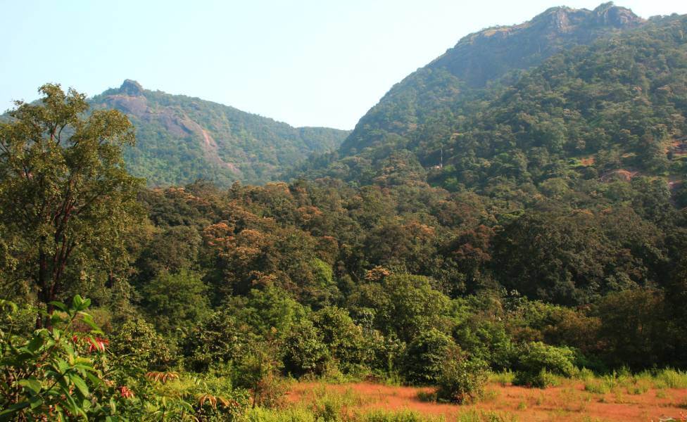 Mollem National Park Goa