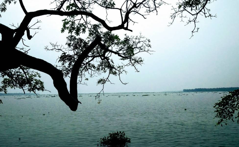 Vembanad Lake Kerala